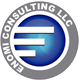 Логотип компании Enomi Consulting LLC